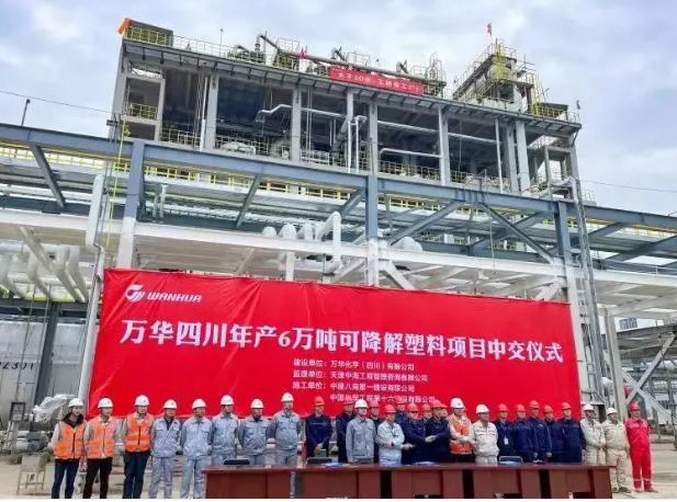 萬花.jpg 萬花.jpg